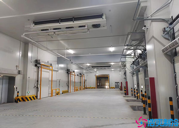 福建生鲜物流泡芙APP短视频定制详情分析.jpg