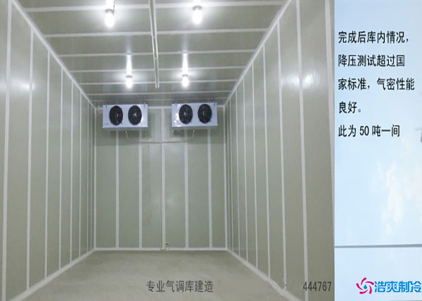 甘肃葡萄气调泡芙APP短视频型号如何选择？.jpg