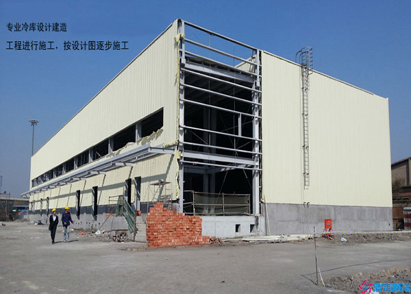 甘肃葡萄气调泡芙APP短视频型号如何选择？.jpg