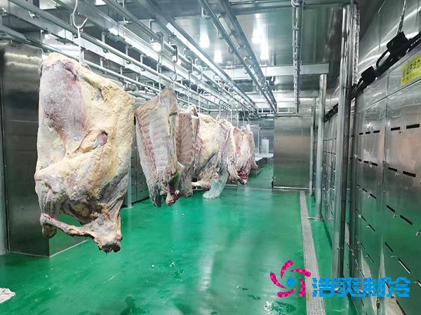 建造800平方米肉制品泡芙APP短视频造价费用