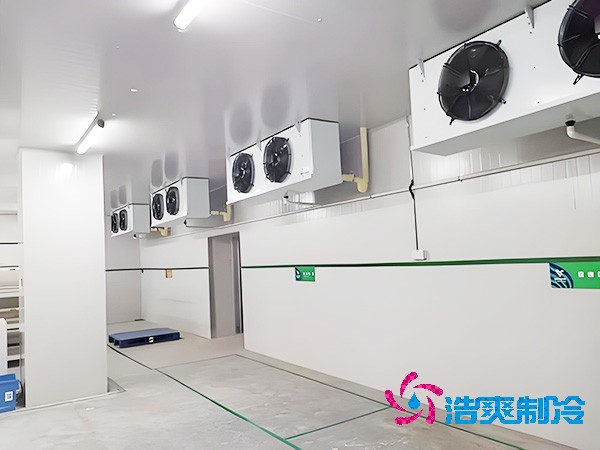 上海低温泡芙APP短视频造价大概是多少钱