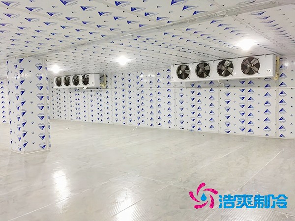 泡芙APP短视频建设费用