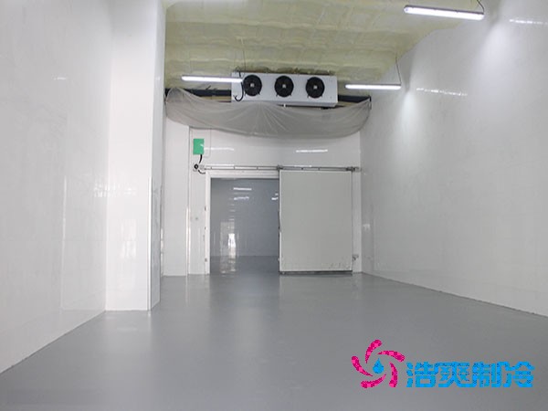 加工厂泡芙APP短视频安装造价成本大概多少钱？