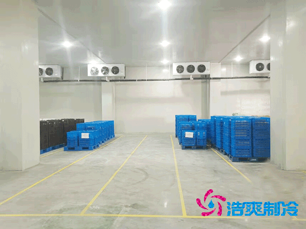 加工厂泡芙APP短视频安装造价成本大概多少钱？