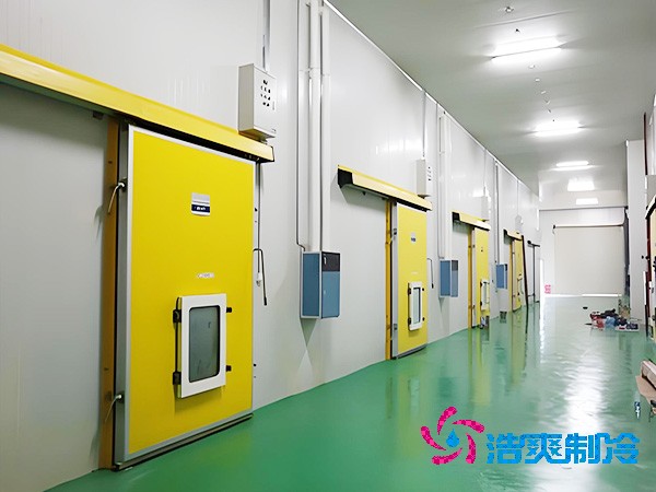 气调泡芙APP短视频安装造价费用
