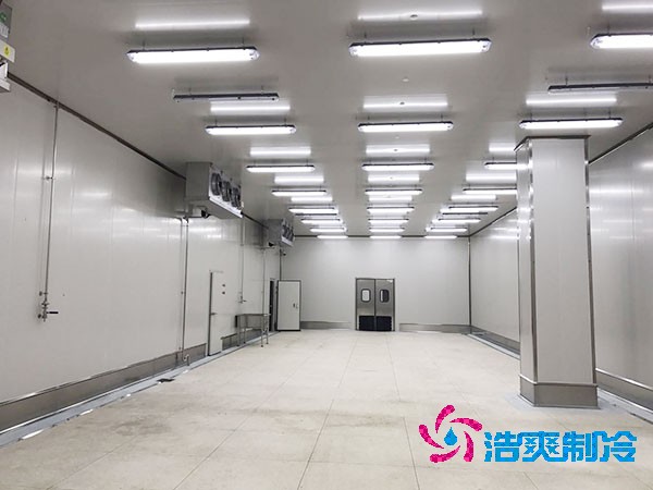 5000平米鸡肉泡芙APP短视频造价大概多少钱