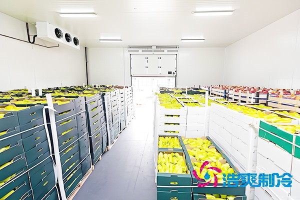 水果催熟泡芙APP短视频安装造价