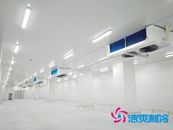 5000吨大型泡芙APP短视频造价