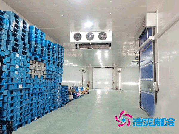 屠宰场泡芙APP短视频建造费用