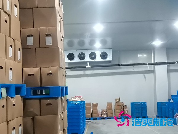 建造鱼糜制品低温泡芙APP短视频的费用及其重要性