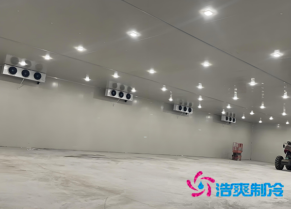 -18℃冻肉能放半年？揭秘食品泡芙APP短视频造价秘密！-泡芙视频官网下载免费制冷
