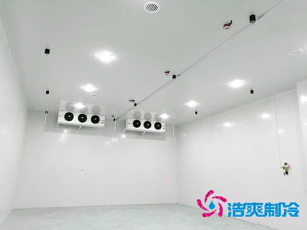 泡芙APP短视频造价揭秘：300平方米到底要花多少钱？-泡芙视频官网下载免费制冷