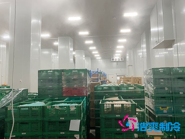 夏季蔬菜保鲜难？500吨泡芙APP短视频建造价格揭秘！