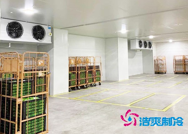 玉米泡芙APP短视频造价