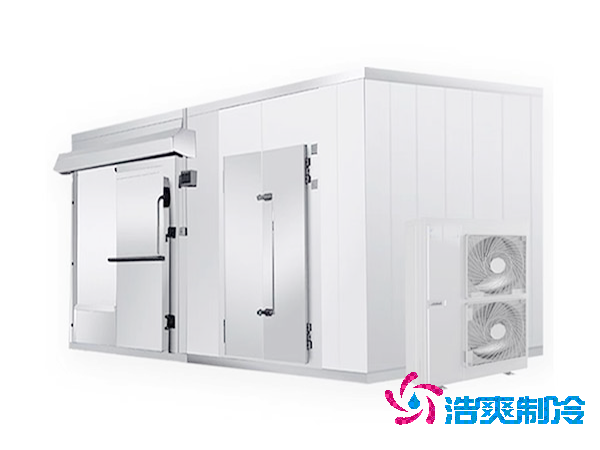 安装一个后补式水果泡芙APP短视频建造价格多少钱？