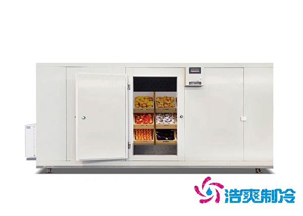 安装一个后补式水果泡芙APP短视频建造价格多少钱？