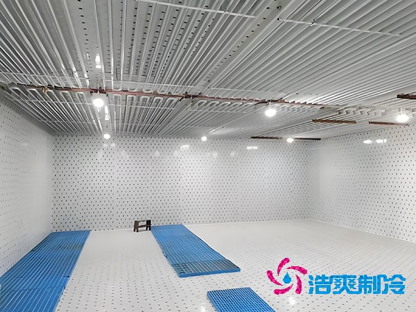 1000平方米食品泡芙APP短视频造价
