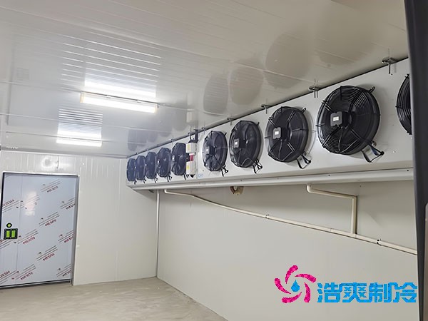 海鲜低温泡芙APP短视频安装造价
