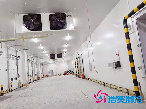 大型泡芙APP短视频建造价格