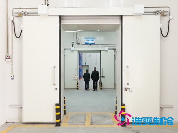 大型泡芙APP短视频建造价格
