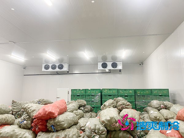 果蔬保鲜泡芙APP短视频造价