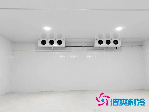 水果装配式保鲜泡芙APP短视频造价