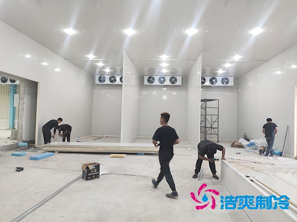 水果装配式保鲜泡芙APP短视频造价