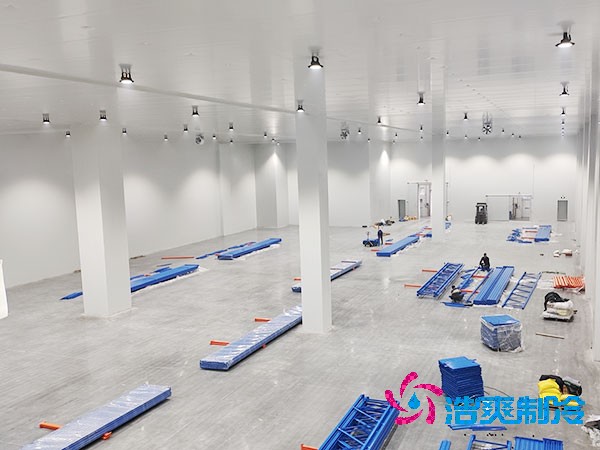 生鲜冷链物流泡芙APP短视频造价