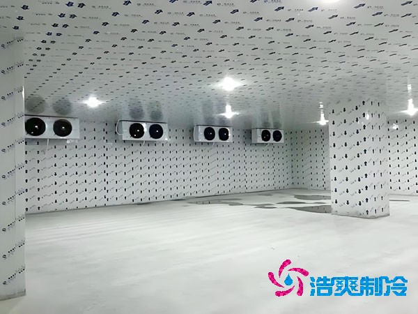 小型速冻泡芙APP短视频建造价格