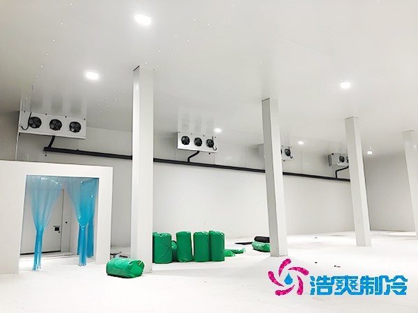 坚果泡芙APP短视频建设预算