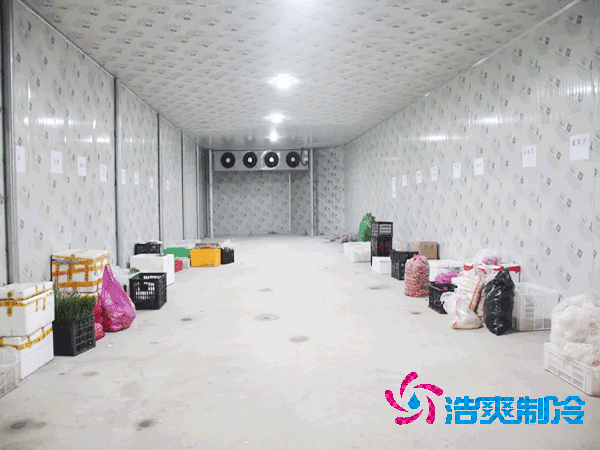 水果店泡芙APP短视频存储保鲜方法,水果保鲜泡芙APP短视频造价成本
