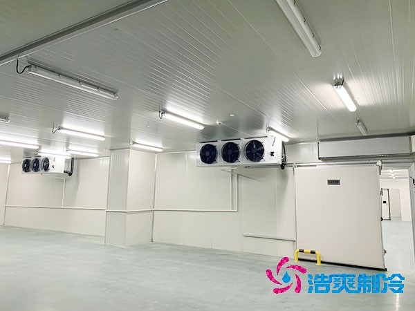 咖啡厂泡芙APP短视频造价