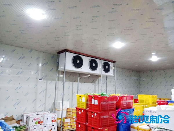建造食品保鲜泡芙APP短视频价格