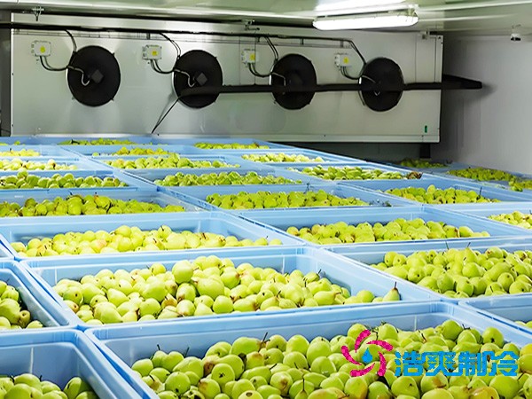 果蔬泡芙APP短视频造价