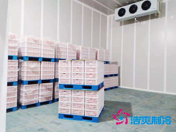 果蔬泡芙APP短视频造价
