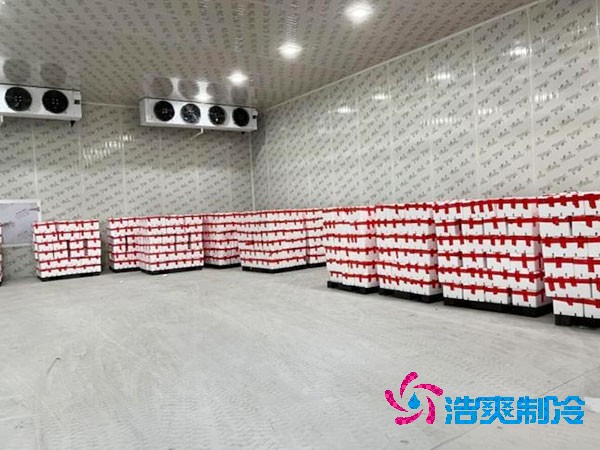 食品泡芙APP短视频设计安装价格