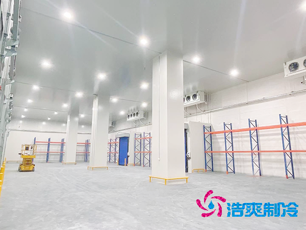 浙江建造一个食品加加工低温立体库费用多少钱？-泡芙视频官网下载免费制冷