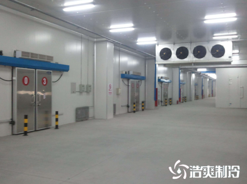 预冷泡芙APP短视频建设