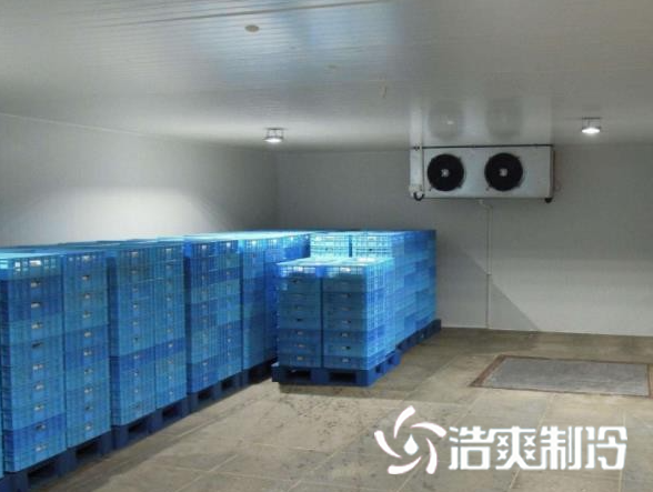 餐饮泡芙APP短视频建造_泡芙视频官网下载免费制冷