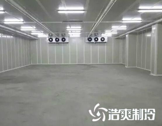 气调泡芙APP短视频建造