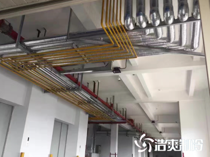 氟利昂系统_泡芙视频官网下载免费制冷