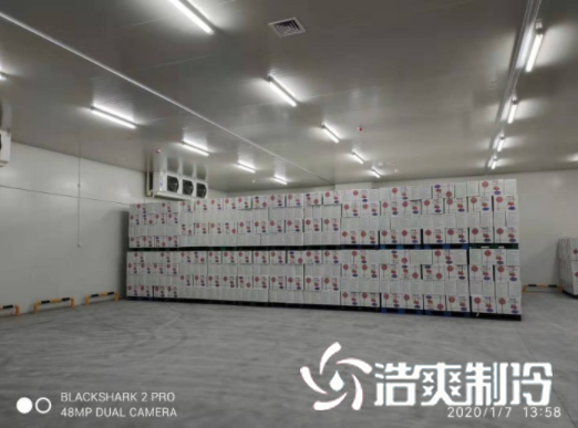 安徽洽洽49500m³食品加工泡芙APP短视频建造