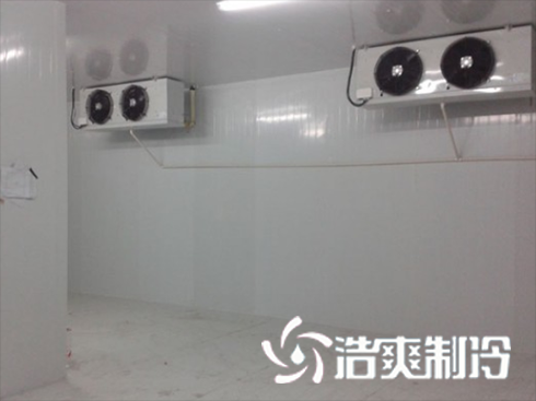 浙江绍兴养乐多乳制品泡芙APP短视频建造安装